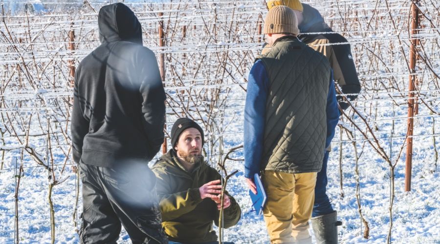 Joel Jorgensen of Vinescapes giving pruning advice to the Carvers Hill Estate team.
