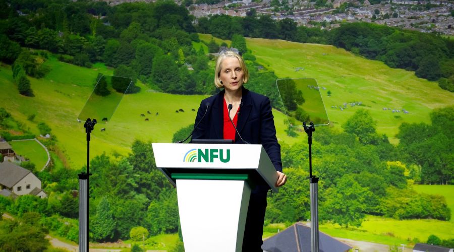 During the NFU Conference, environment secretary Emma Reynolds announced a reformed Sustainable Farming Incentive (SFI) offer.