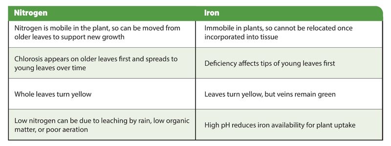 Nitrogen and iron table identifying deficiencies